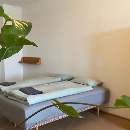 Nezámek Hotel Hartmanice  Kültér fotó